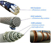 ACSR AAC AAAC ASTMのアルミニウム コンダクターの鋼鉄は補強した