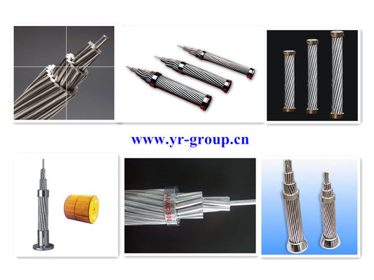 国営電網配送システム AAAC 導体